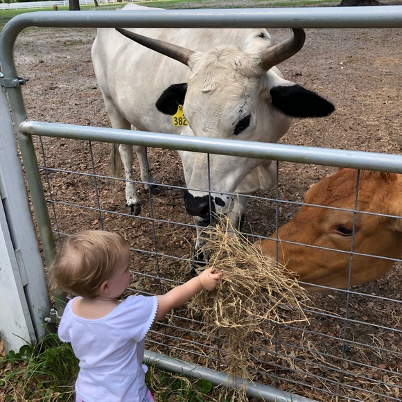 Meet your Posher - Picture 2 of 8